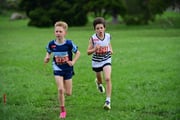 TIM_3442