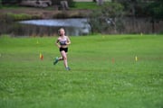 TIM_3098 TIM_3098