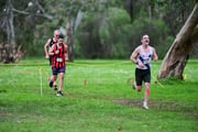 TIM_0307