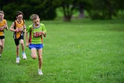 TIM_3527 TIM_3527