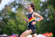 1_TIM_8764 1_TIM_8764