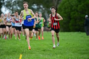 TIM_0422 TIM_0422