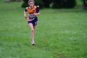 TIM_3050 TIM_3050