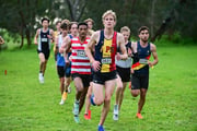TIM_3876 TIM_3876