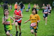 TIM_3311 TIM_3311