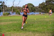 1_TIM_8399