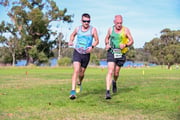 1_TIM_8529 1_TIM_8529