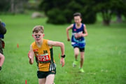 TIM_3545 TIM_3545
