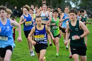 TIM_1871 TIM_1871