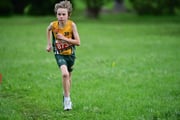 TIM_3582 TIM_3582