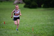 TIM_3403
