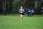 TIM_9928 TIM_9928