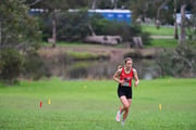 TIM_1674 TIM_1674