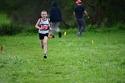 TIM_3229