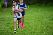 TIM_3265 TIM_3265