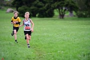 TIM_3606 TIM_3606