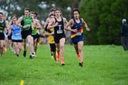 TIM_0398 TIM_0398