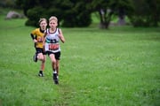 TIM_3610 TIM_3610
