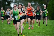 TIM_0482 TIM_0482