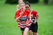 TIM_3081 TIM_3081