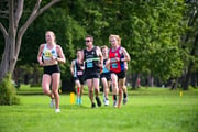 1_TIM_8745
