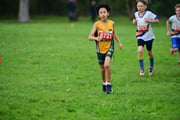 TIM_3211