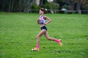 TIM_2542 TIM_2542