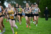 TIM_0449 TIM_0449