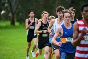 TIM_3881 TIM_3881