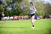 TIM_0806
