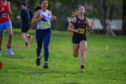 TIM_0181