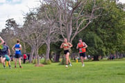 TIM_3024