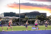 20260314-5DIV9772 20260314-5DIV9772