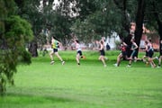 TIM_8110 TIM_8110