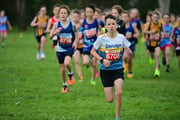 TIM_3146