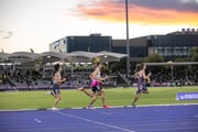 20260314-5DIV9769 20260314-5DIV9769