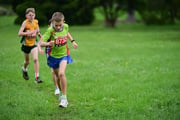 TIM_3531 TIM_3531