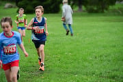 TIM_3521 TIM_3521