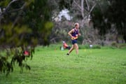 TIM_1798 TIM_1798