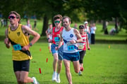 TIM_8790 TIM_8790
