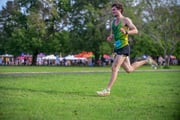 TIM_0854