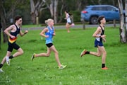 TIM_2062