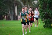 TIM_0666 TIM_0666