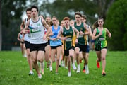 TIM_0434 TIM_0434