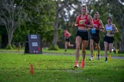 TIM_0366