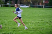 TIM_2582 TIM_2582