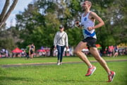 TIM_0774