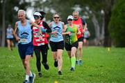 TIM_0588 TIM_0588