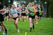 TIM_0478 TIM_0478