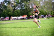 TIM_0842